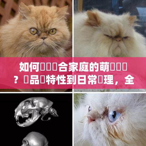 如何選擇適合家庭的萌寵寶貝？從品種特性到日常護理，全面指南助您做出明智抉擇。